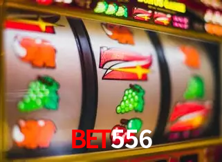 A Experiência Imersiva dos Cassinos Ao Vivo no Bet556