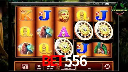 Cassino ao vivo com dealers reais na Bet556